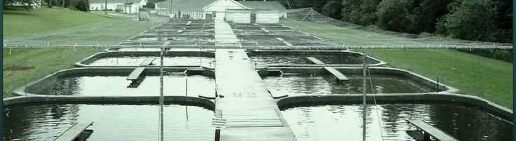 Aquaculture Hydraulic/Hydrostatic Repair